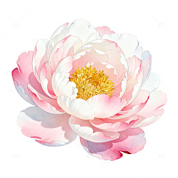 水彩风粉色牡丹花卉插画设计素材