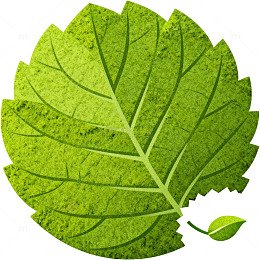 矢量风绿色植物叶片设计素材