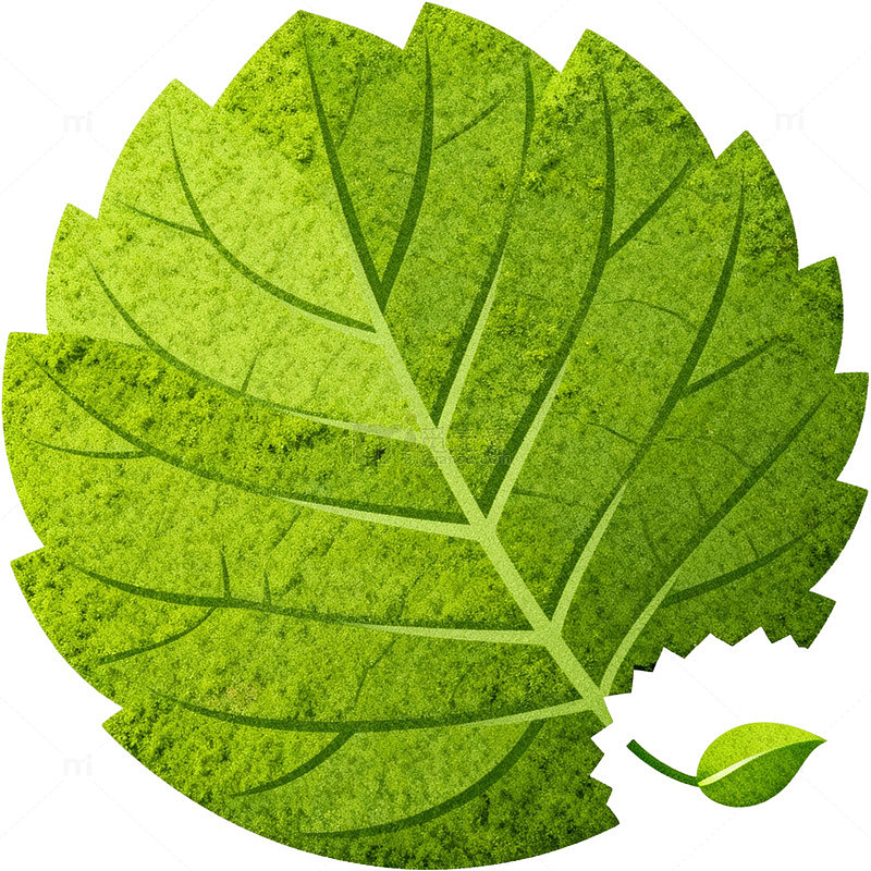 矢量风绿色植物叶片设计素材