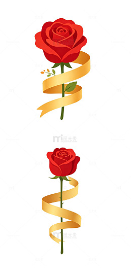 单支玫瑰 装饰花材
