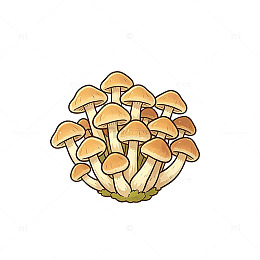 卡通风格菌群手绘蘑菇设计素材