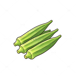 卡通风格秋葵蔬菜插画设计素材