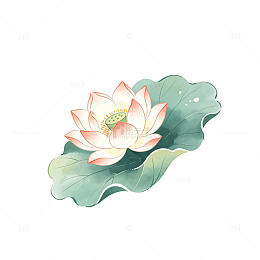 国风手绘莲花荷叶插画设计素材