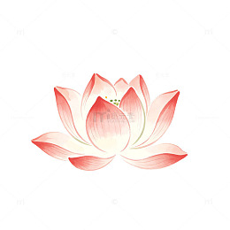 水墨风莲花绽放手绘花卉设计素材