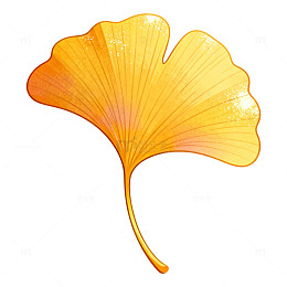 插画风银杏叶秋季手绘设计素材