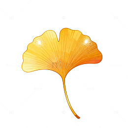 插画风银杏叶秋季自然设计素材