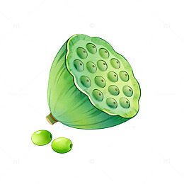 卡通风格莲蓬果实插画设计素材