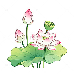 国风水墨风荷花莲叶插画设计素材