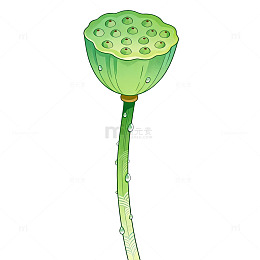 卡通风莲蓬植物插画设计素材