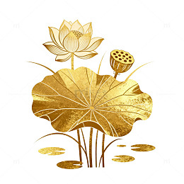 金色风莲花荷叶插画设计素材