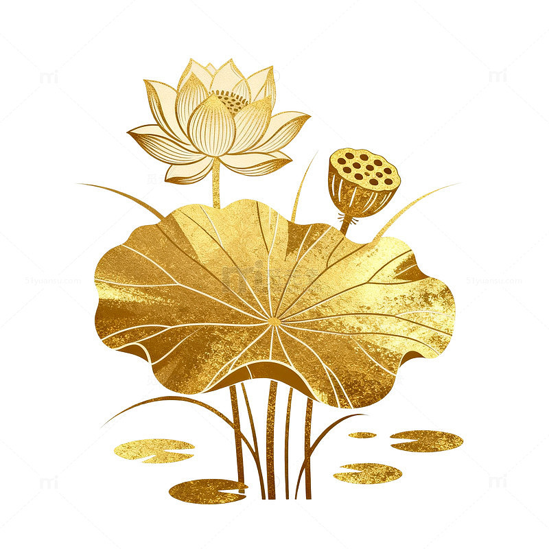 金色风莲花荷叶插画设计素材