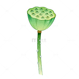 手绘风莲蓬植物插画设计素材