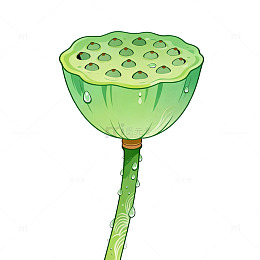 卡通风格莲蓬植物插画设计素材