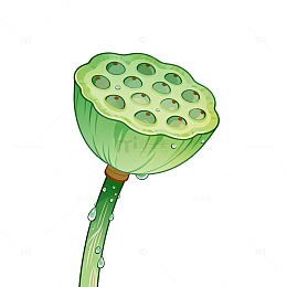 卡通风莲蓬植物插画设计素材