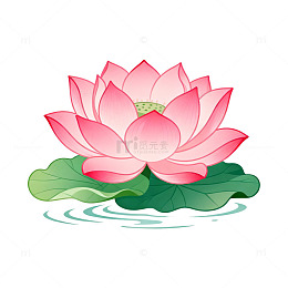 卡通风荷花盛开插画设计素材