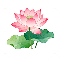 卡通风格荷花池塘插画设计素材