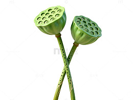 3D风格莲蓬植物插画设计素材