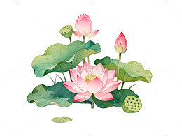 水彩风荷花池塘手绘莲花设计素材