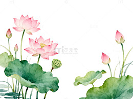 水彩风荷花池塘手绘植物设计素材