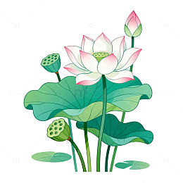 手绘风荷花莲花植物插画设计素材