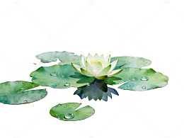 水彩风荷花池塘静谧自然设计素材