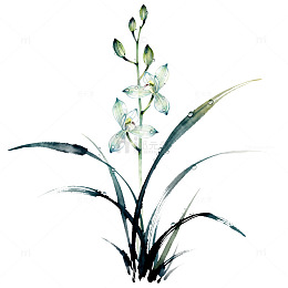 水墨风兰花植物手绘插画设计素材