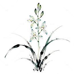 水墨风兰花植物手绘插画设计素材