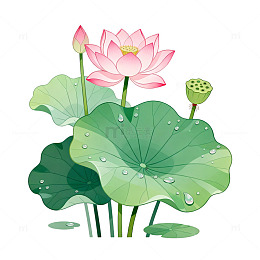 手绘风荷花池塘绿叶插画设计素材