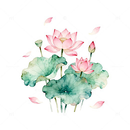 水彩风荷花池塘手绘植物插画素材