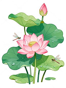 卡通风荷花蜻蜓池塘插画设计素材