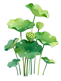 卡通风格荷塘绿叶莲蓬插画素材