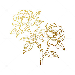 线条风金色牡丹花卉图案设计素材
