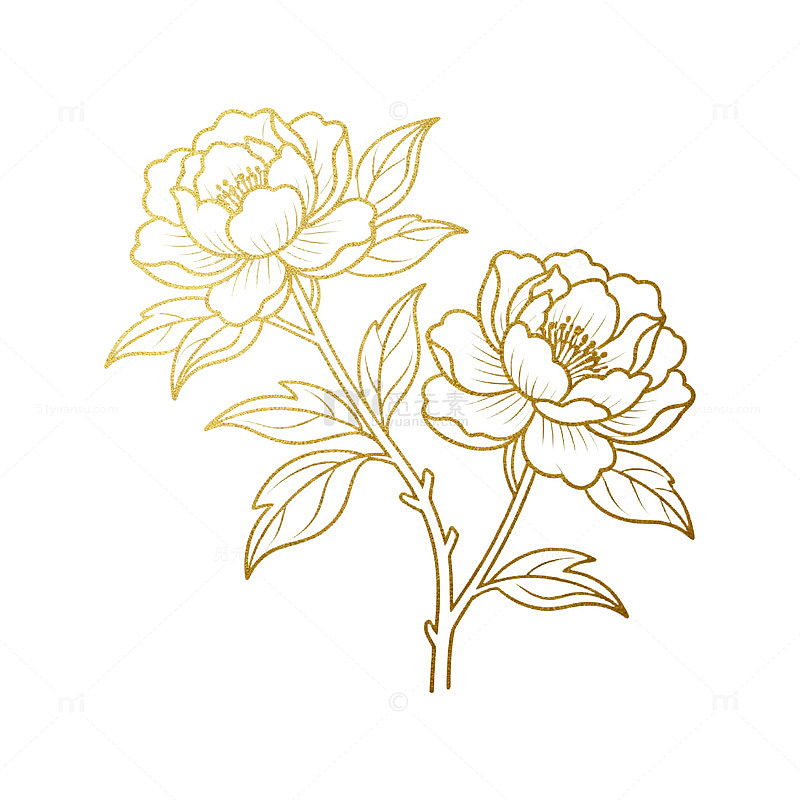 线条风金色牡丹花卉图案设计素材