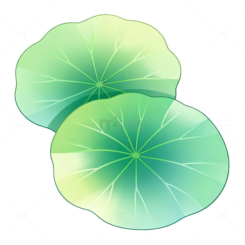 清新风荷叶插画矢量设计素材
