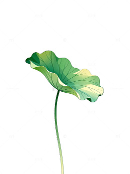 手绘风荷叶植物插画设计素材