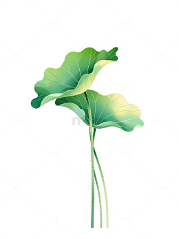 插画风荷叶植物手绘设计素材