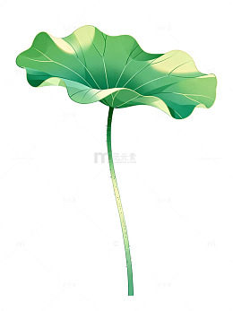 卡通风荷叶植物插画设计素材