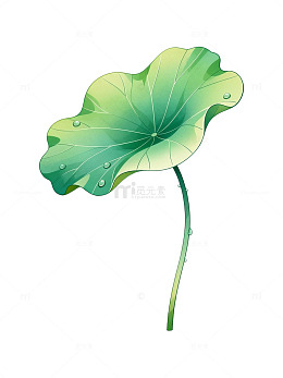 插画风荷叶水珠透明背景设计素材