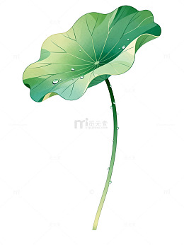 卡通风荷叶植物插画设计素材