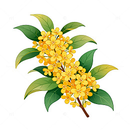 插画风桂花枝手绘植物设计素材