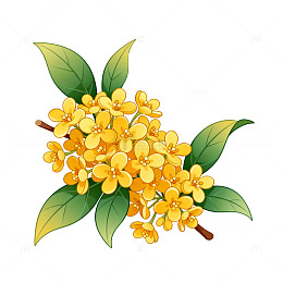 卡通风格桂花枝叶插画设计素材