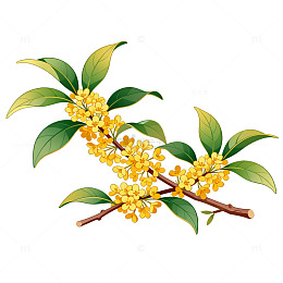 手绘风桂花枝条植物插画素材
