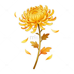 手绘风秋日菊花插画设计素材