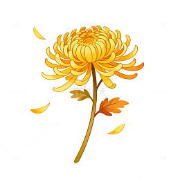 手绘风秋季菊花插画设计素材
