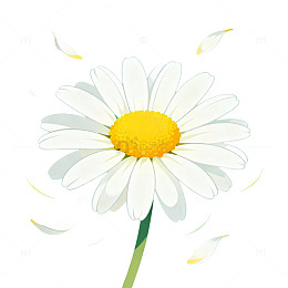 扁平风雏菊花朵插画设计素材