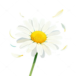 扁平风雏菊花朵插画设计素材