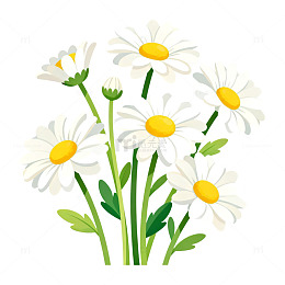 手绘风雏菊花朵插画设计素材