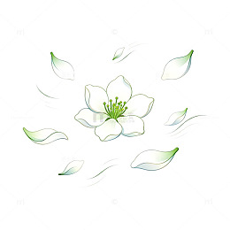 手绘风白色花朵飘落花瓣设计素材