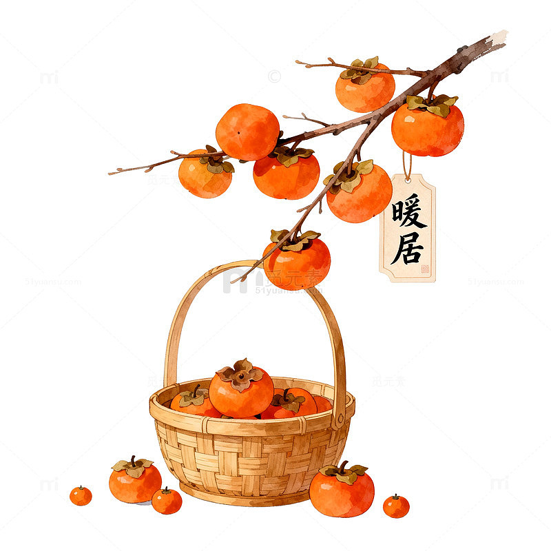水彩风柿子篮子手绘秋日暖居设计素材