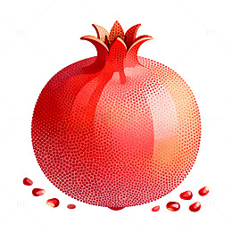 点阵风石榴果实插画设计素材